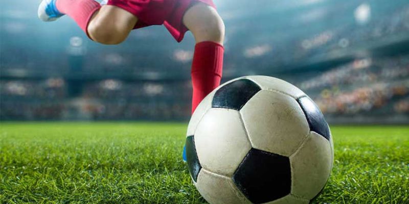 Điều khoản điều kiện Các nội dung chính trong điều khoản điều kiện