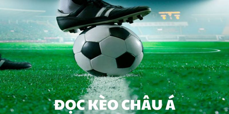 Kèo Châu Á là gì Cách đọc và hiểu kèo Châu Á chính xác