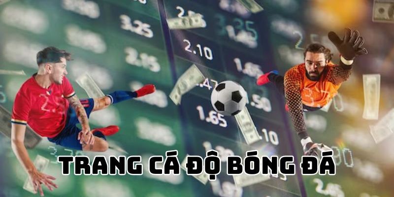 Thực trạng thị trường cá độ bóng đá trực tuyến hiện nay