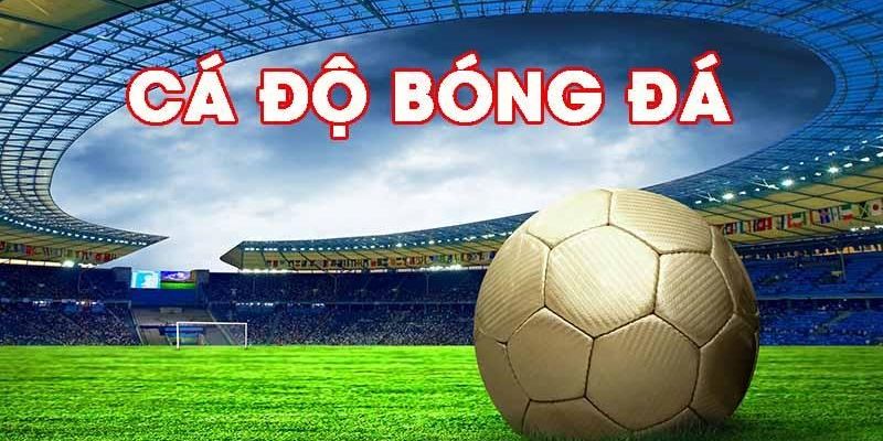 Keo88 Hướng dẫn đăng ký và chơi cá cược tại Keo88