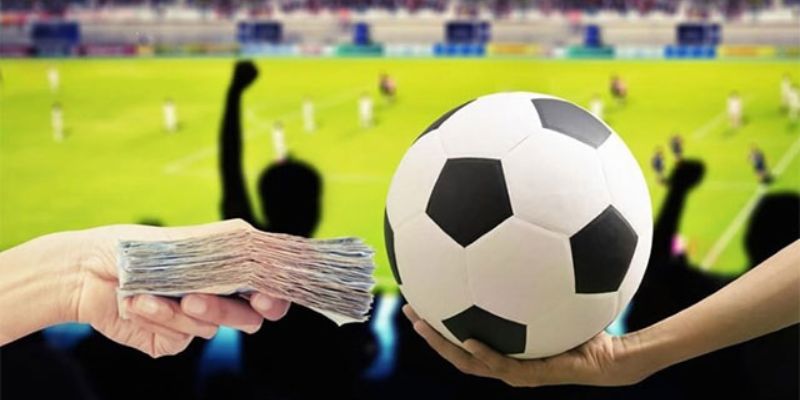 Cá độ online là gì? Lợi ích khi tham gia cá độ online là gì?