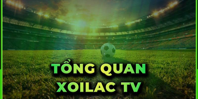 Xoilac Lý do Xoilac trở thành lựa chọn hàng đầu của cược thủ