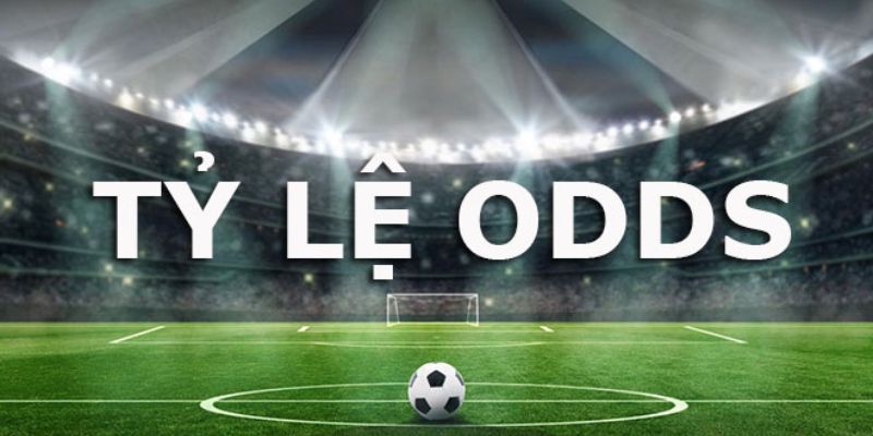Odds là gì Những lưu ý khi sử dụng Odds là gì