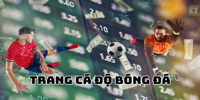 Tại sao cần giới thiệu về trang cá độ bóng đá