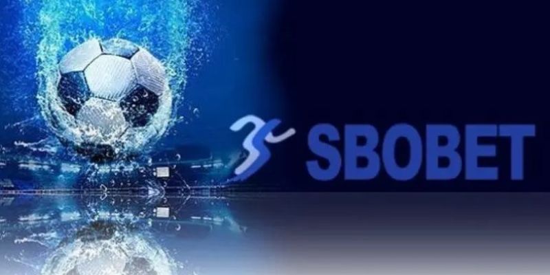 SBOBET Vì sao SBOBET luôn là lựa chọn hàng đầu của dân cá cược?